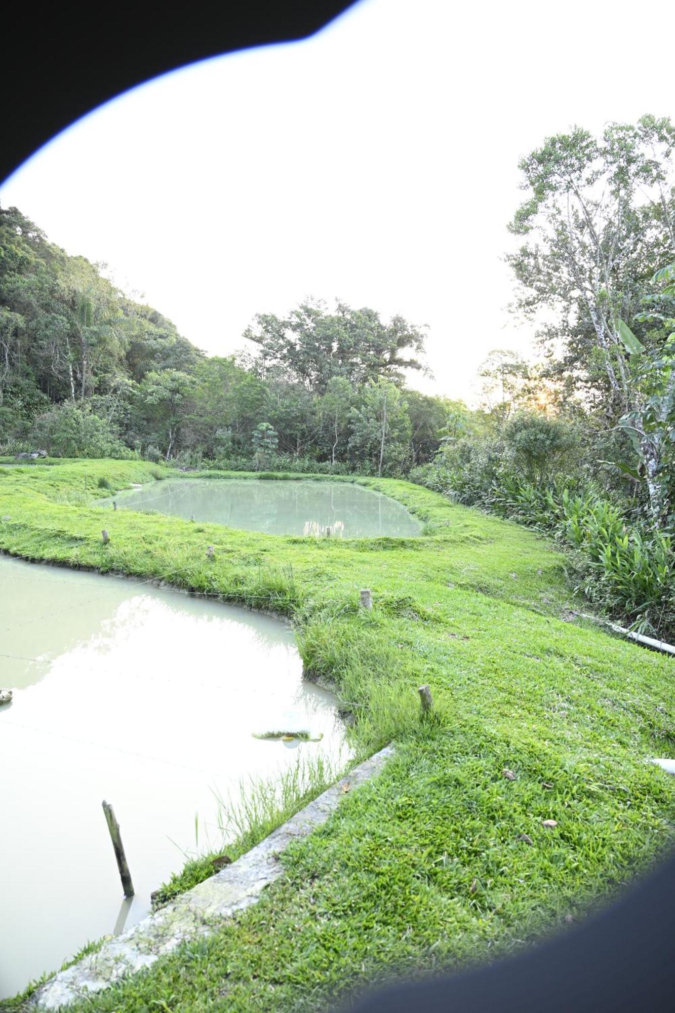 Recanto Vale Do Gigante Antonina Exterior foto